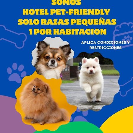 פאיפה Hotel Casablanca Natural Spa מראה חיצוני תמונה