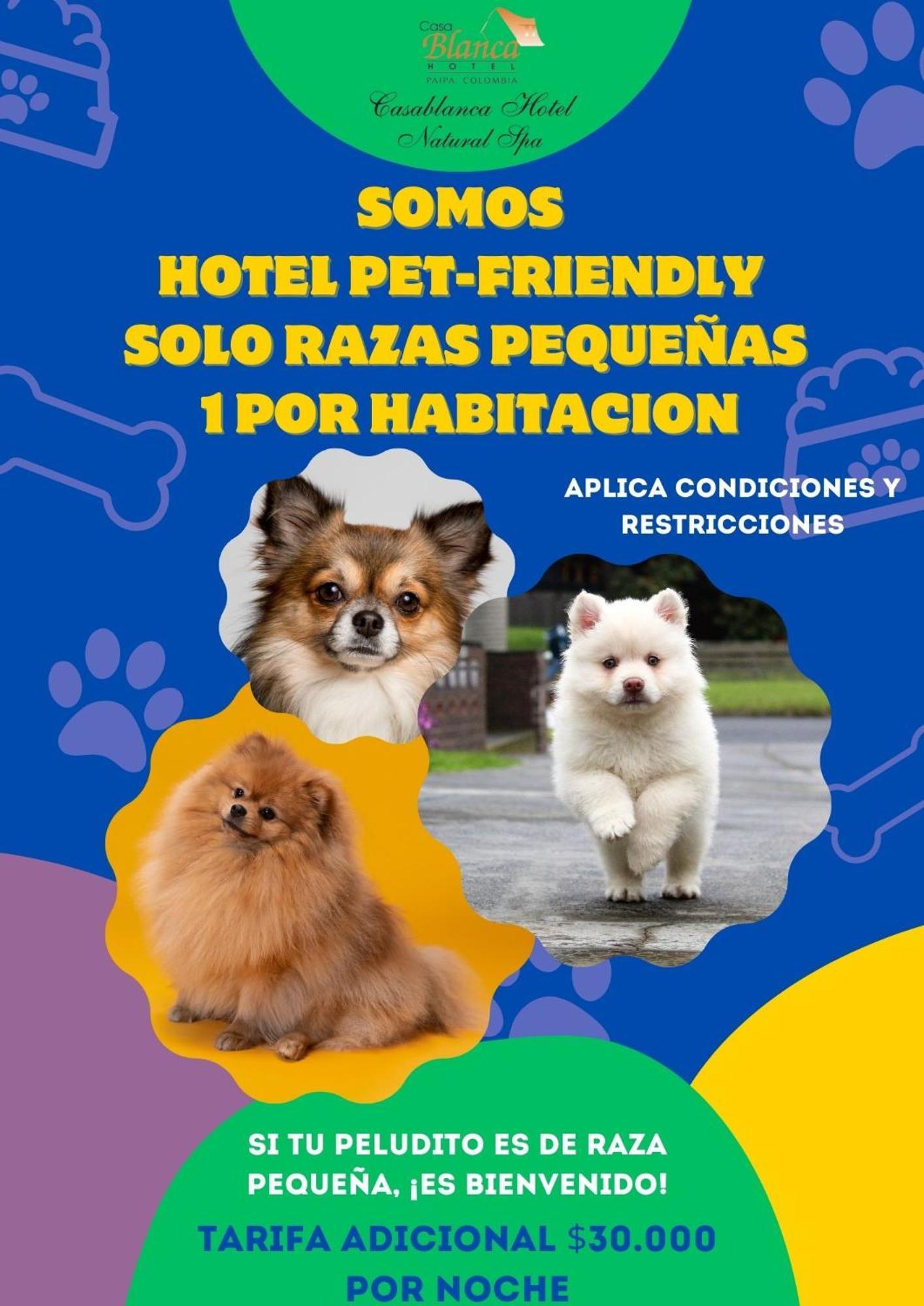 פאיפה Hotel Casablanca Natural Spa מראה חיצוני תמונה